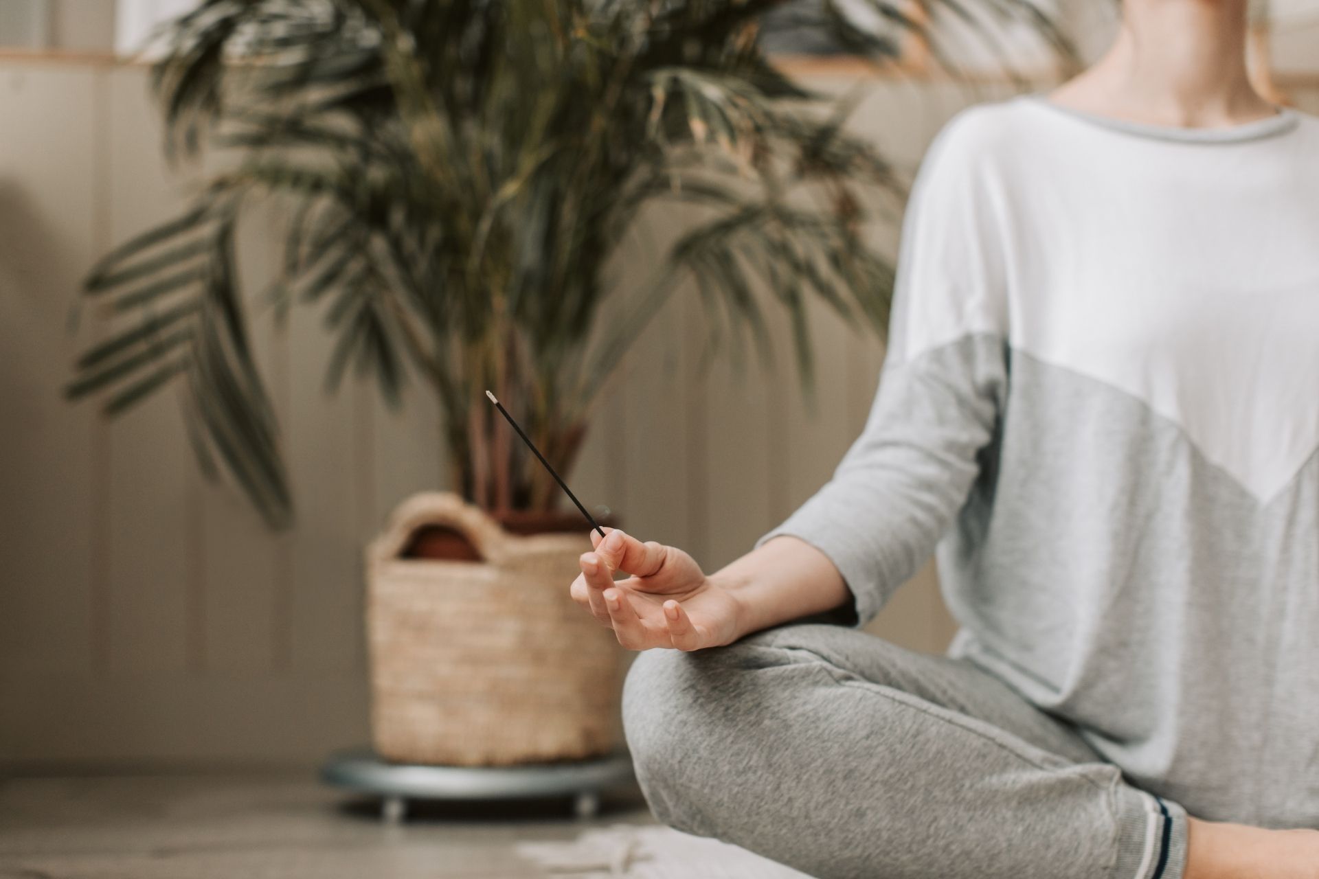 Range of Motion Wellness Centre main